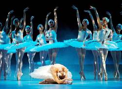 ballet-nacional-continuara-presentaciones-en-el-mes-de-abril