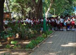 tours-return-to-havanas-green-lung