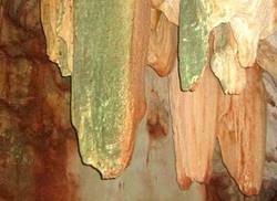 la-pictografia-aborigen-en-el-patrimonio-nacional