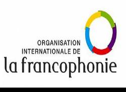 artistas-francofonas-sobresalen-en-xiv-bienal-de-la-habana