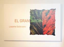 inauguran-exposicion-de-lissette-solorzano-en-galeria-villa-manuela-de-la-uneac