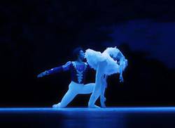 presentara-compania-ballet-laura-alonso-el-lago-de-los-cisnes