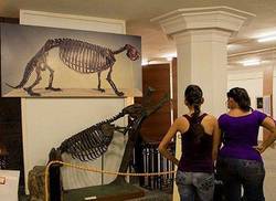 reanuda-sus-servicios-el-museo-nacional-de-historia-natural