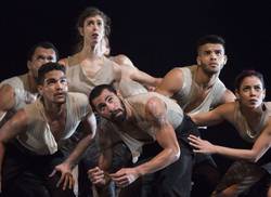 compania-malpaso-participara-en-el-festival-internacional-de-ballet