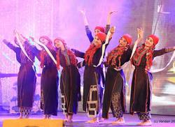 dias-de-la-cultura-de-viet-nam-en-cuba-para-celebrar-la-hermandad
