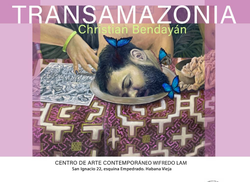 exposicion-transamazonia