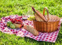 nos-vamos-de-picnic