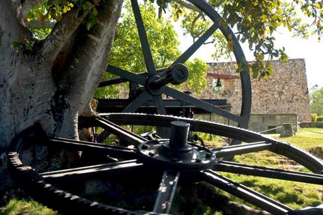cuban-culture-day-begins