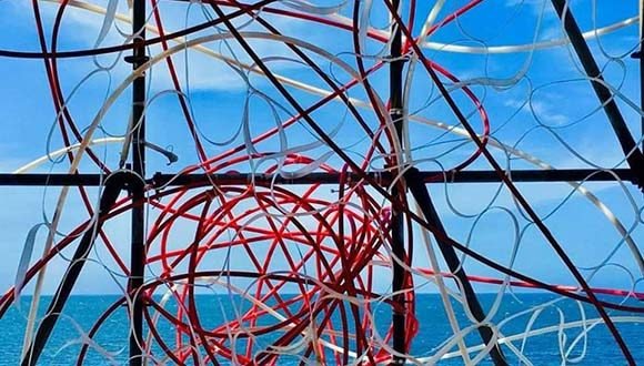 exponer-y-exponerse-perfiles-de-una-bienal