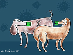 virus