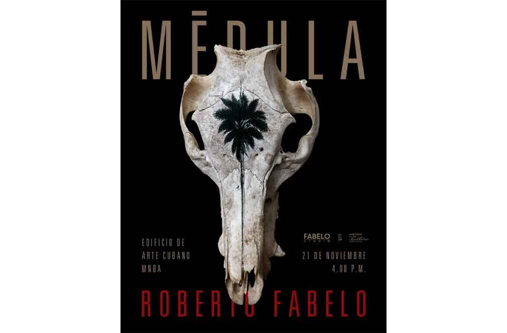 acogera-museo-nacional-de-bellas-artes-exposicion-de-roberto-fabelo