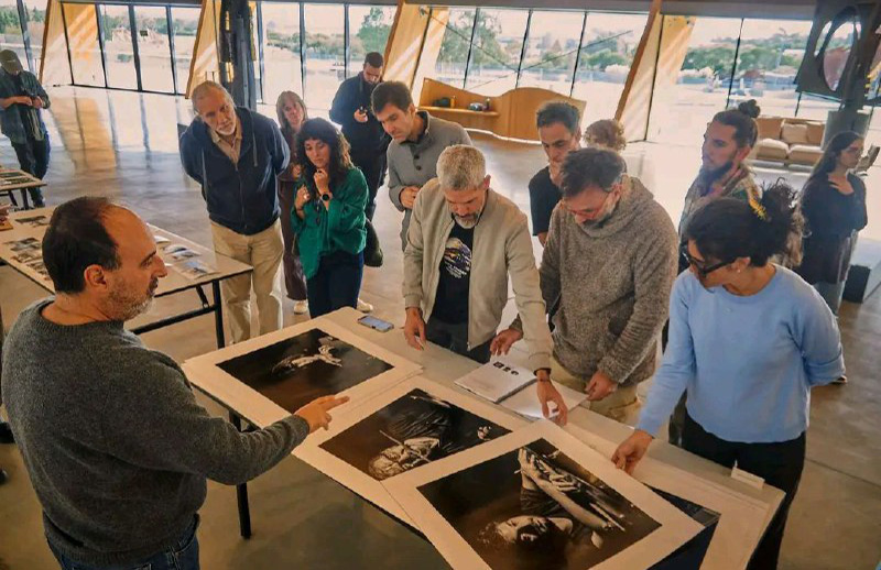 fotocanimar-proyecto-interactivo-rumbo-al-2026