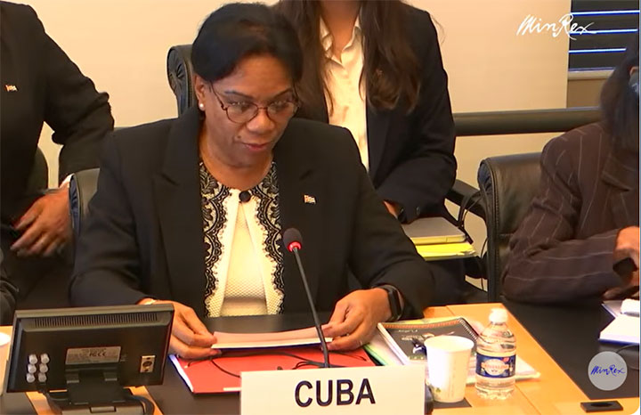 intervencion-de-ines-maria-chapman-en-la-onu-sobre-discriminacion-racial