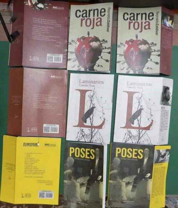a-la-luz-se-lee-mejor-en-esta-edicion-de-la-feria-internacional-del-libro