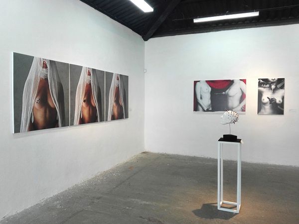 otra-mirada-al-desnudo-femenino-en-galeria-la-nave