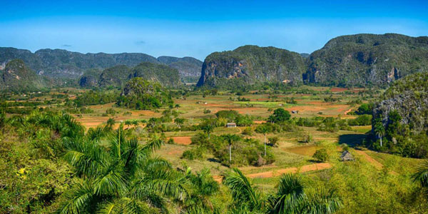 vinales-vivo-veinte-razones-para-no-perderse-el-festival